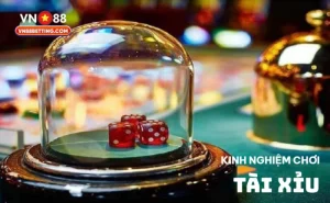 Kinh nghiệm chơi tài xỉu VN88